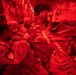 Pope, Bragg Train Together for Worldwide Readiness during BMTW