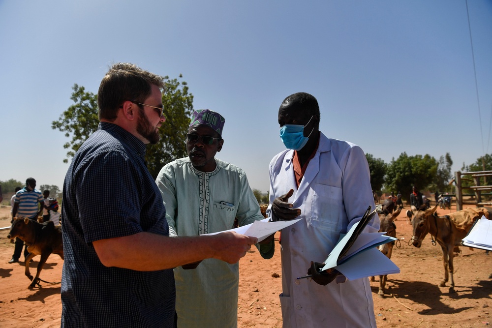 Niger Veterinary Civic Action Program