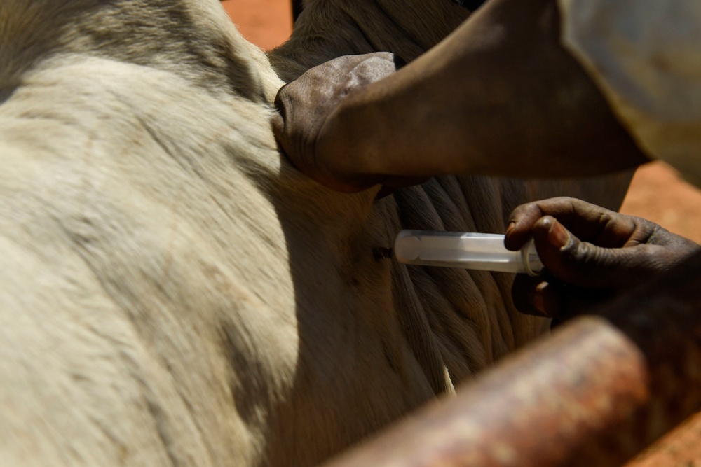 Niger Veterinary Civic Action Program