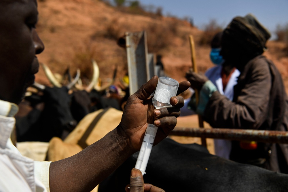 Niger Veterinary Civic Action Program