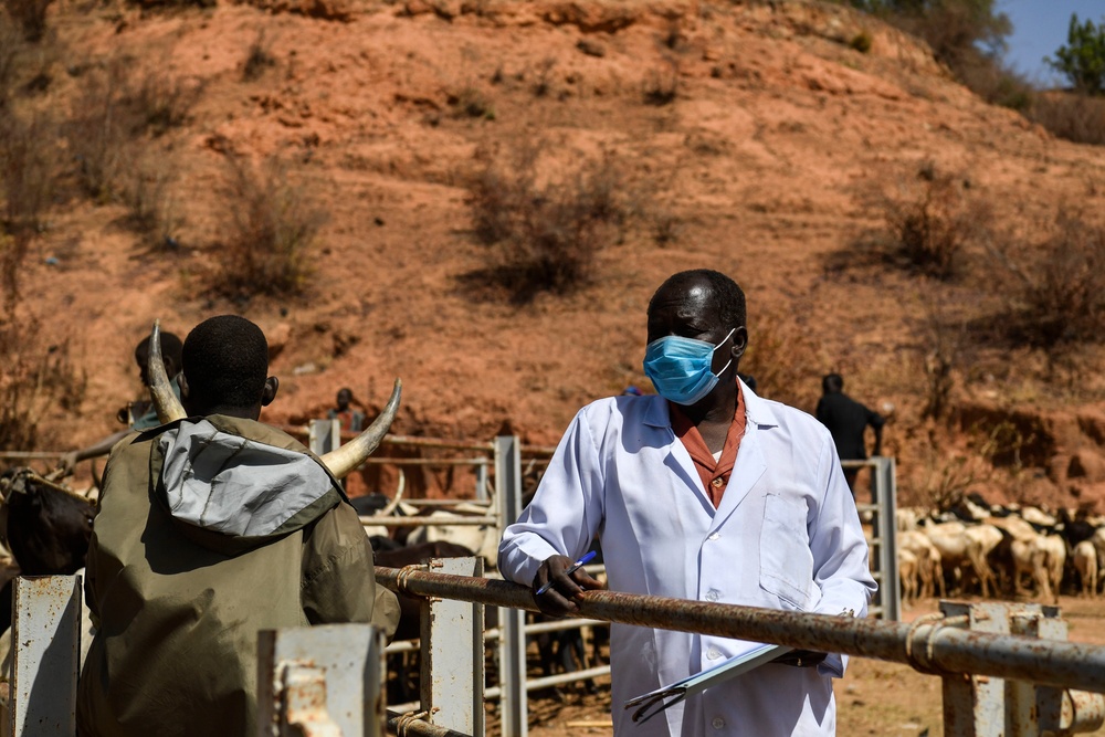 Niger Veterinary Civic Action Program