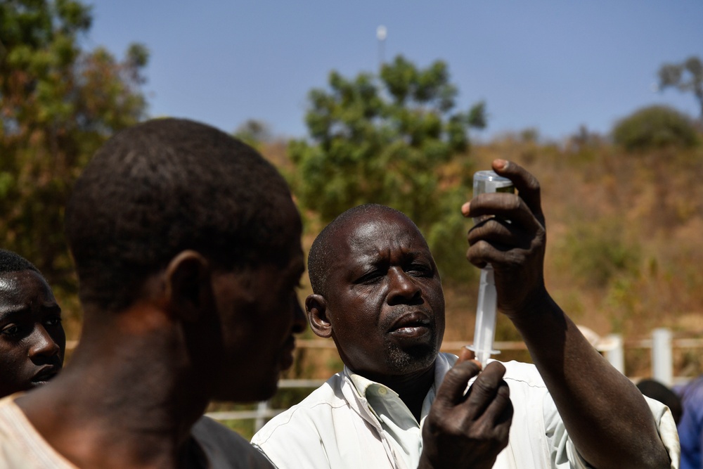 Niger Veterinary Civic Action Program