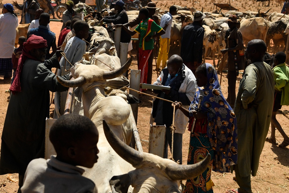 Niger Veterinary Civic Action Program