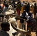 Niger Veterinary Civic Action Program