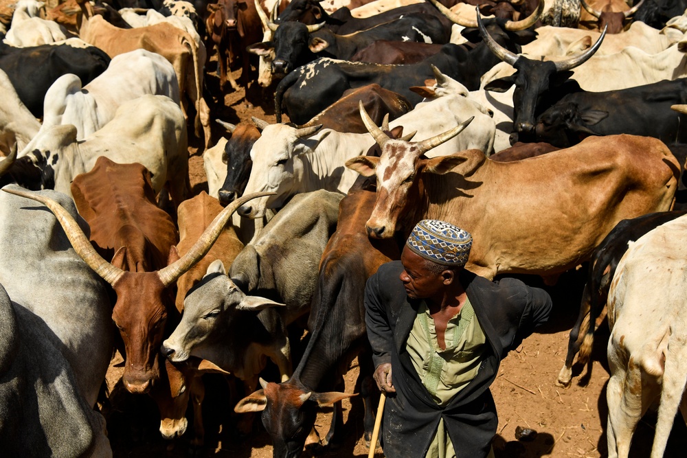 Niger Veterinary Civic Action Program