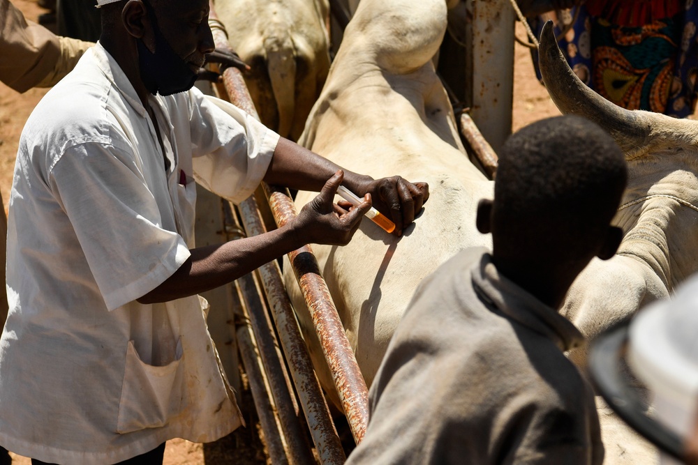 Niger Veterinary Civic Action Program