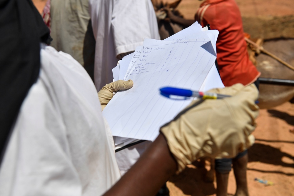 Niger Veterinary Civic Action Program