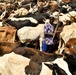 Niger Veterinary Civic Action Program