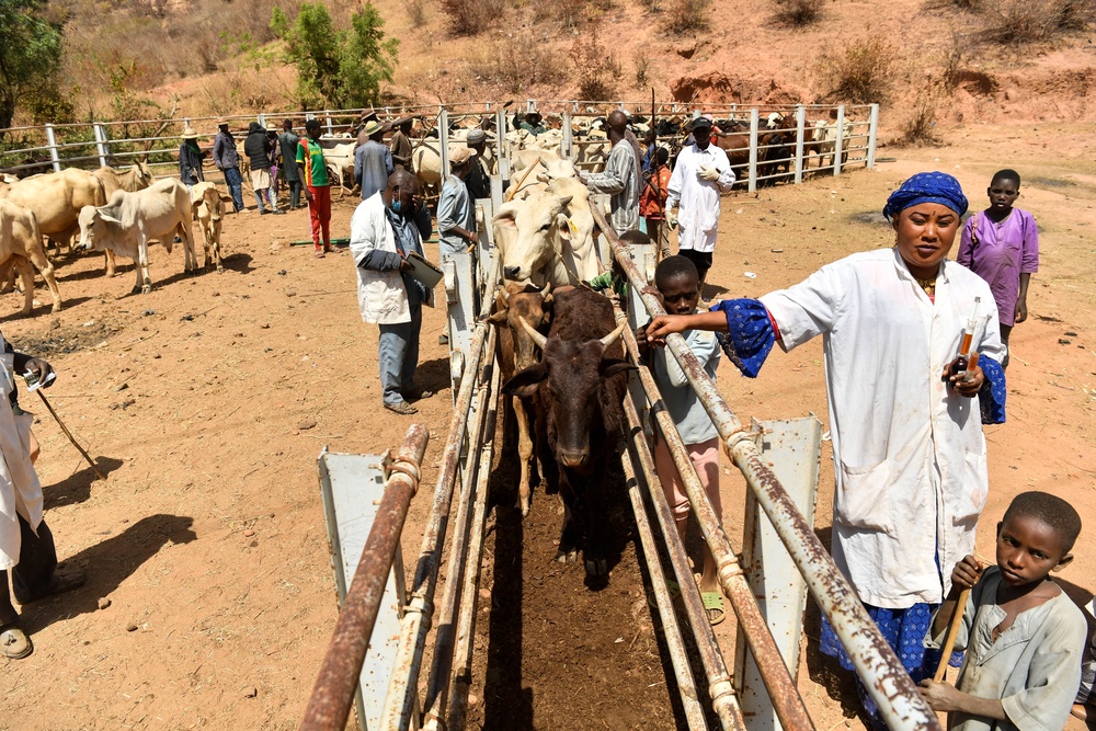 Niger Veterinary Civic Action Program