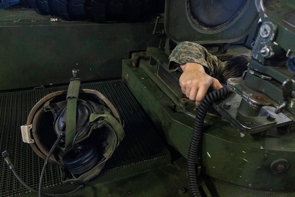 Sparrowhawk Rehearsal