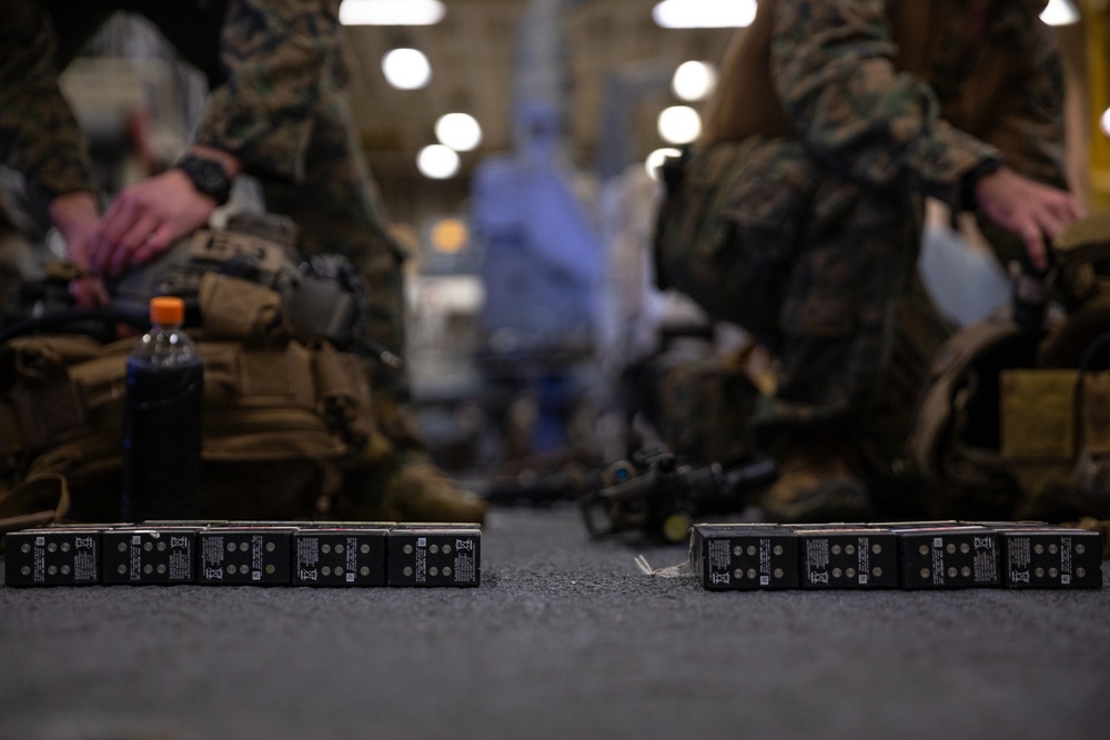 31st MEU: Visit, Board, Search, and Seizure