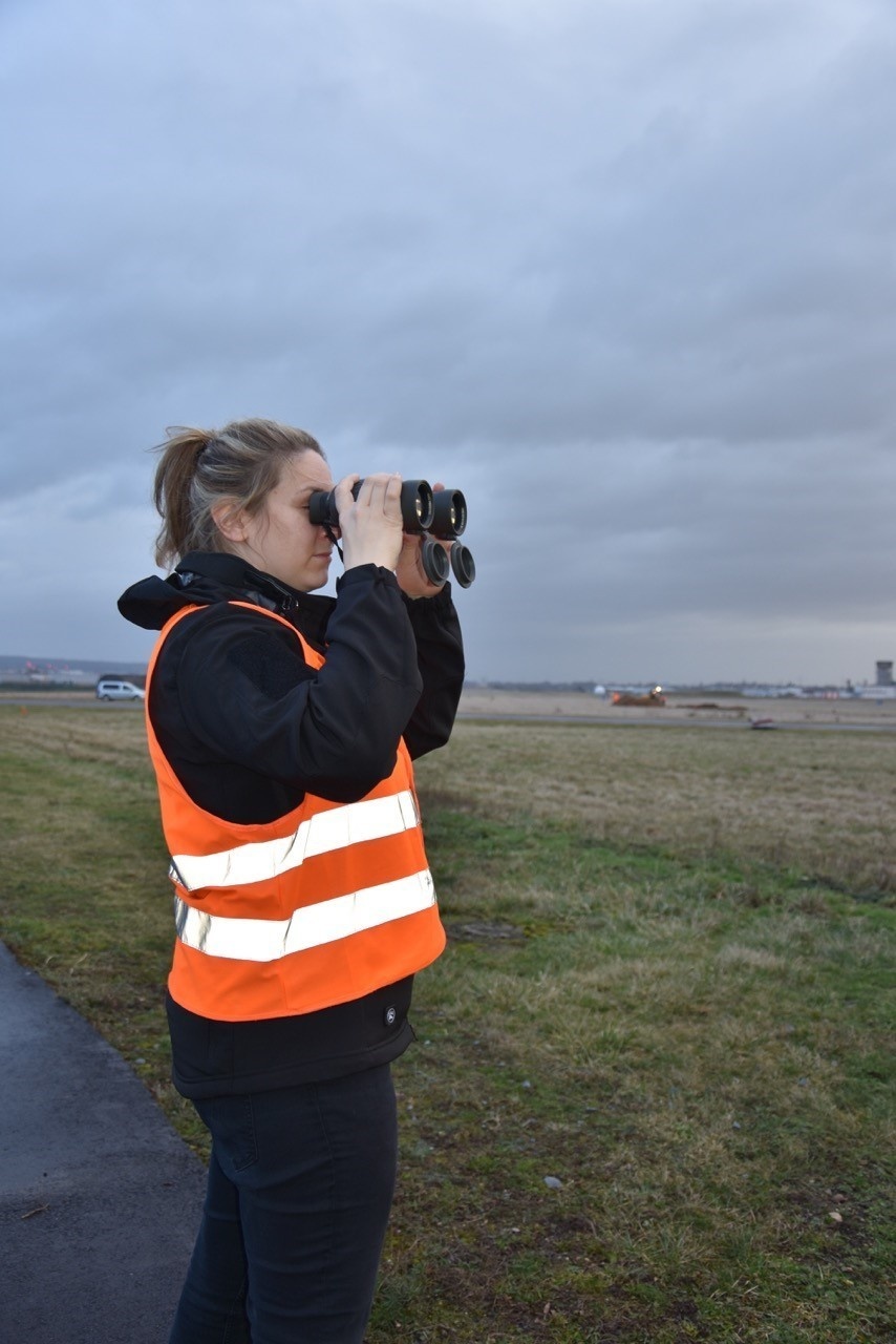 Garrison’s bird strike prevention is keeping Soldiers, aircraft safe