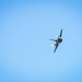 F-16 Viper Demo Team preseason practice