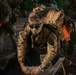 25th DIVARTY Best by Test Competition: Day Three
