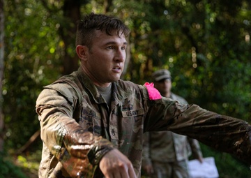 25th DIVARTY Best by Test Competition: Day Three