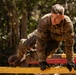 25th DIVARTY Best by Test Competition: Day Three