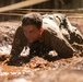 25th DIVARTY Best by Test Competition: Day Three