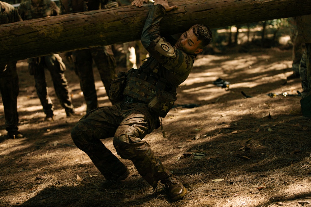25th DIVARTY Best by Test Competition: Day Three