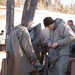 Marines, Rangers experience and overcome hypothermia