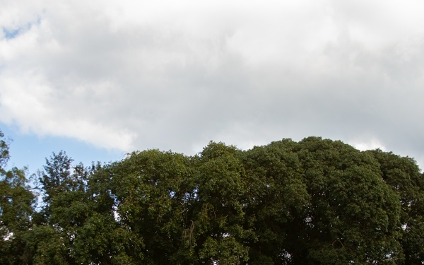 25th ID DIVARTY Best by Test Award Ceremony