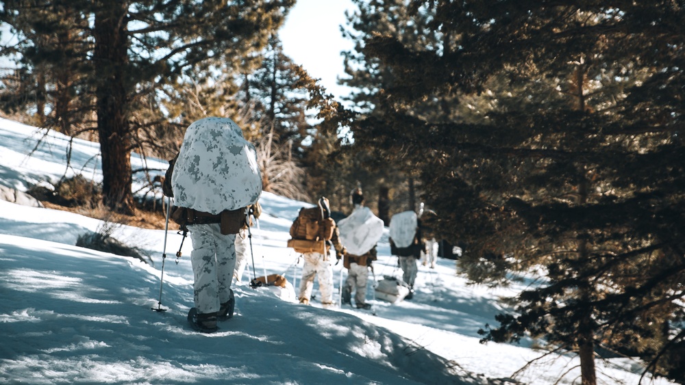 U.S. Marines with 3/3 conduct MTX 2-22: Company Offensive Lane
