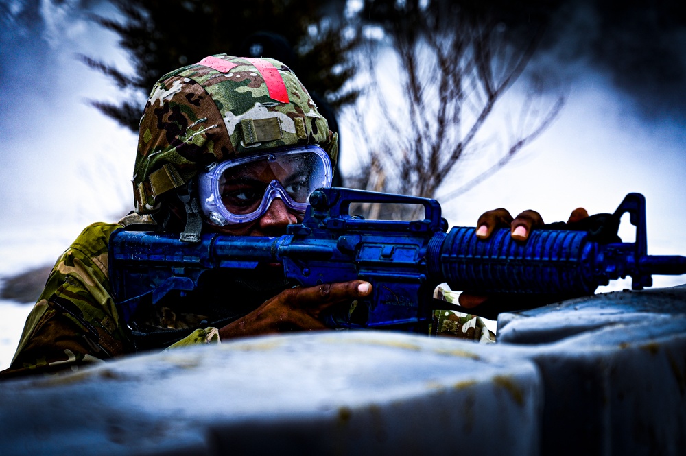 U.S. Army Reserve Trains at the MSTC