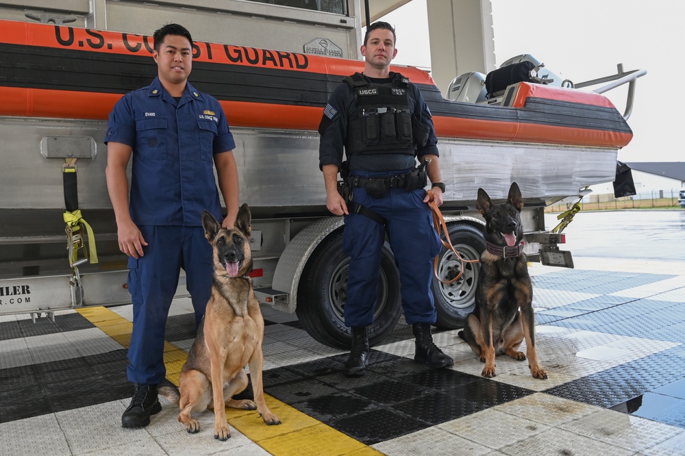 K9s of Maritime Safety and Security Team Houston