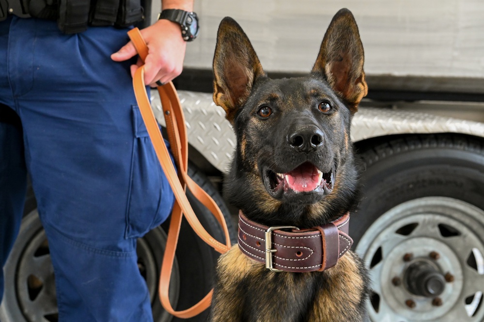 K9s of Maritime Safety and Security Team Houston