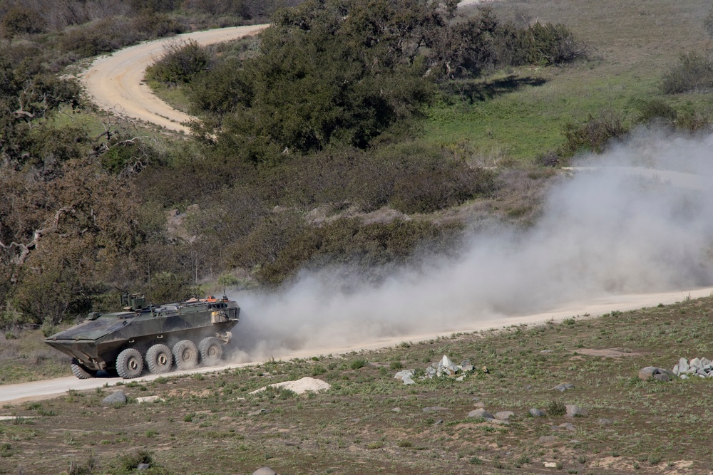 Iron Fist 2022: US Marines, Japan Ground Self-Defense Force soldiers refine AAV, ACV gunnery skills