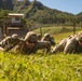 25th DIVARTY Best by Test Competition: Artillery and Stress Shoot