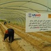 Iraq - Greenhouses for Female Farmers