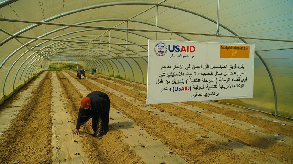 Iraq - Greenhouses for Female Farmers