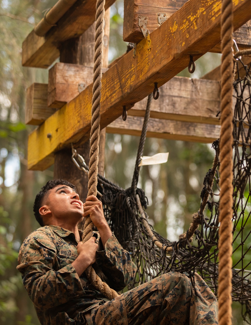 25th DIVARTY Best by Test Competition: Obstacle Course and Green Mile