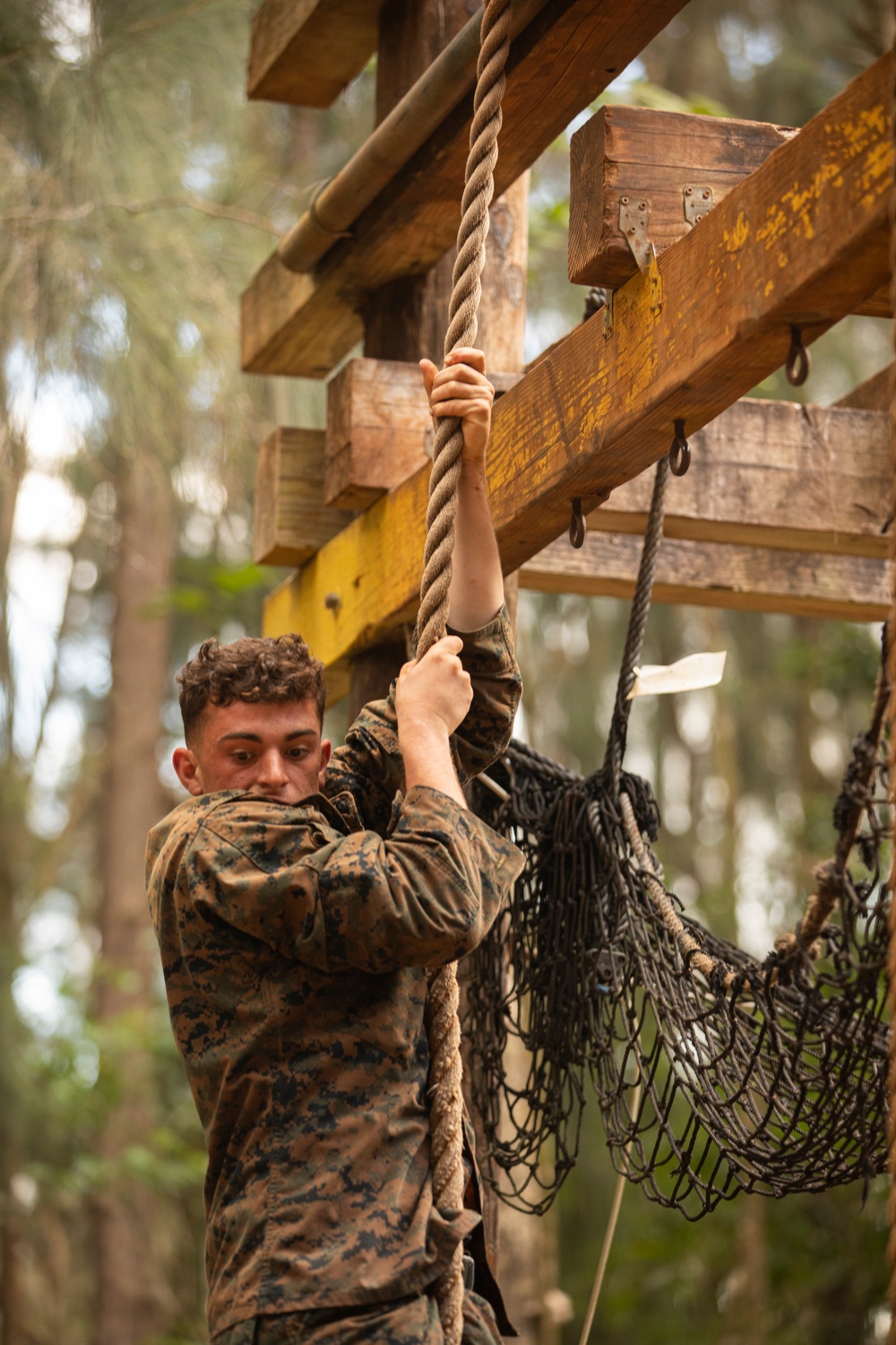 25th DIVARTY Best by Test Competition: Obstacle Course and Green Mile