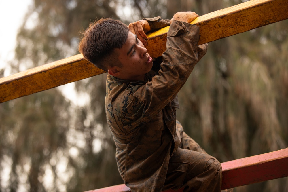 25th DIVARTY Best by Test Competition: Obstacle Course and Green Mile