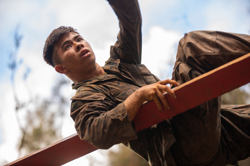 25th DIVARTY Best by Test Competition: Obstacle Course and Green Mile