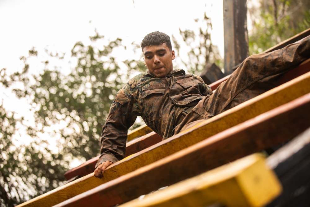 25th DIVARTY Best by Test Competition: Obstacle Course and Green Mile