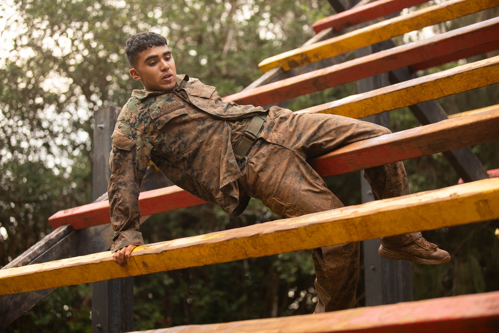 25th DIVARTY Best by Test Competition: Obstacle Course and Green Mile