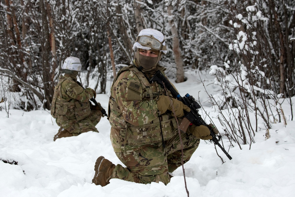 'Denali’ paratroopers conduct squad live-fire training