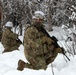 'Denali’ paratroopers conduct squad live-fire training