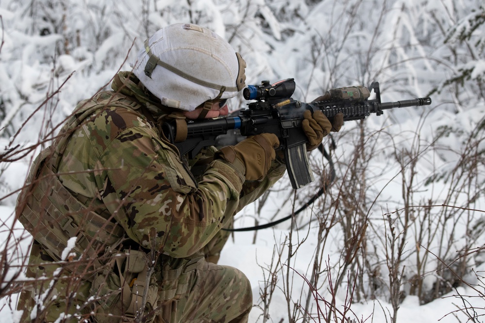 'Denali’ paratroopers conduct squad live-fire training