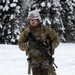 'Denali’ paratroopers conduct squad live-fire training