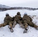 'Denali’ paratroopers conduct squad live-fire training