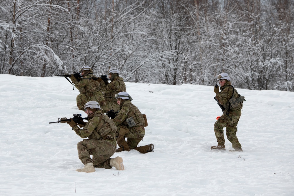 'Denali’ paratroopers conduct squad live-fire training
