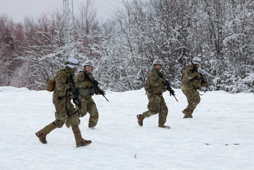 'Denali’ paratroopers conduct squad live-fire training