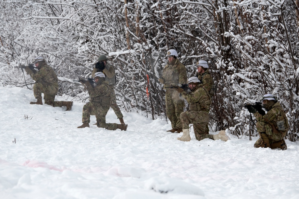 'Denali’ paratroopers conduct squad live-fire training
