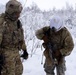'Denali’ paratroopers conduct squad live-fire training