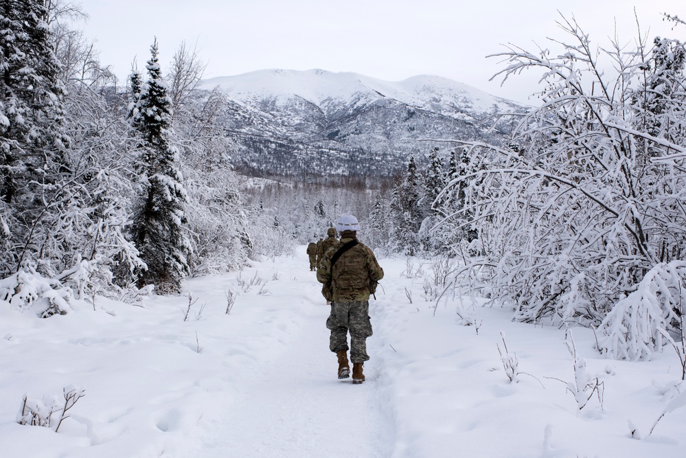 'Denali’ paratroopers conduct squad live-fire training