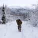 'Denali’ paratroopers conduct squad live-fire training
