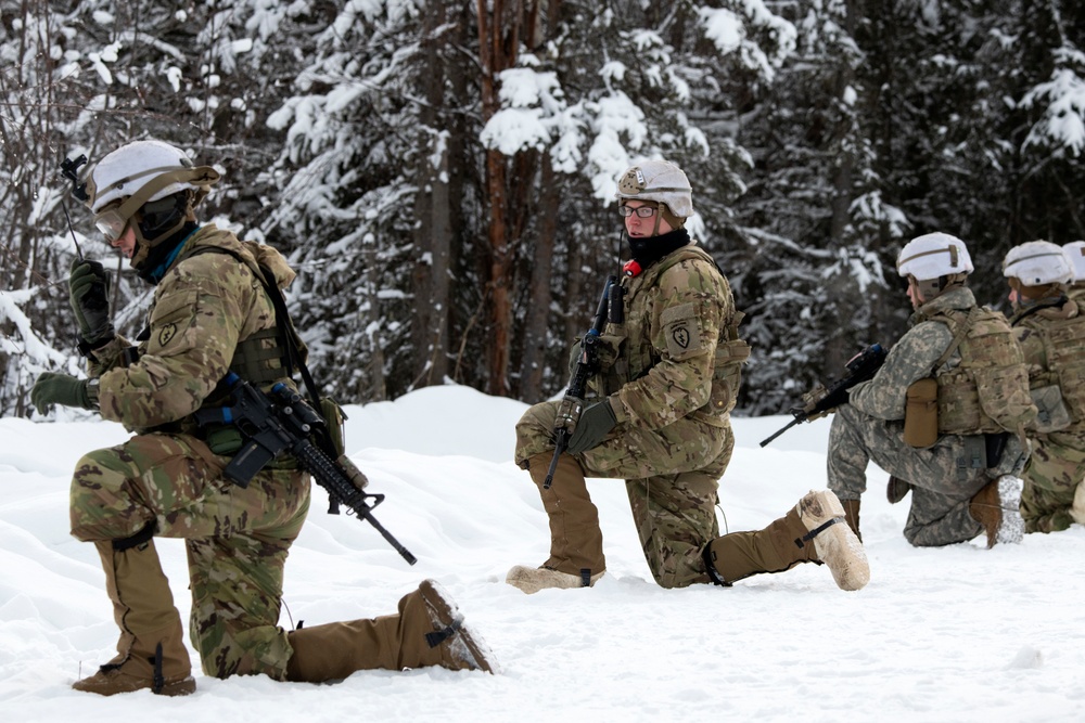 'Denali’ paratroopers conduct squad live-fire training
